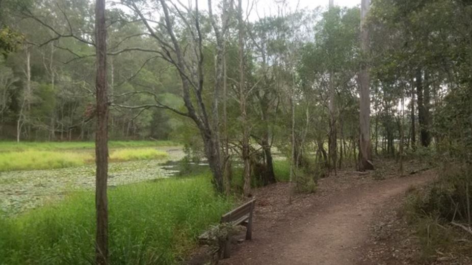 brisbane-north-hiking-trails