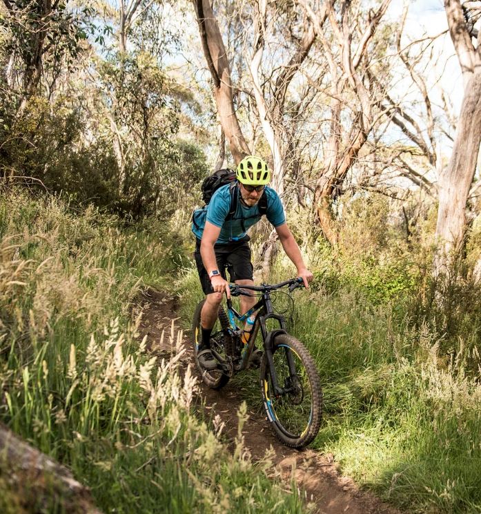 mountain-biking-trails-petrie-north-brisbane