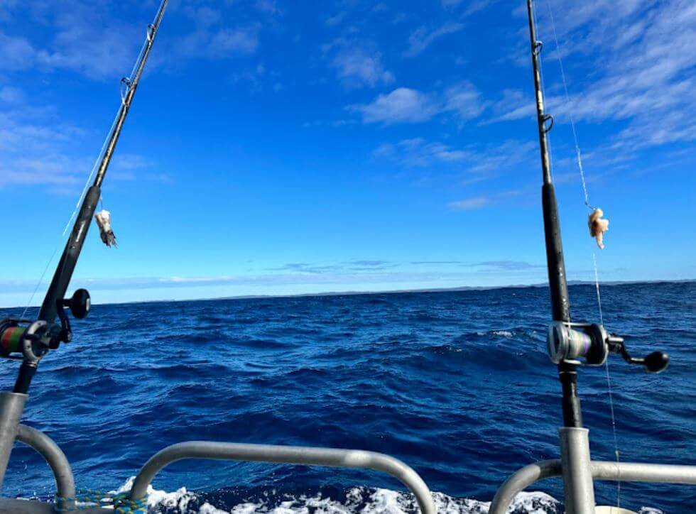 fishing-charters-moreton-bay