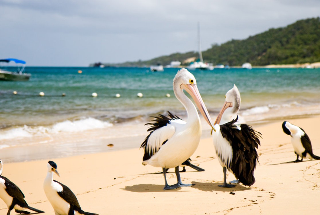 top family friendly beaches moreton bay